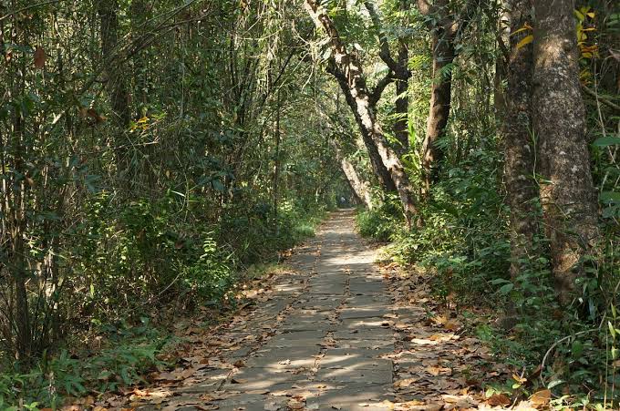 Kumarakom Wildlife Sanctuary